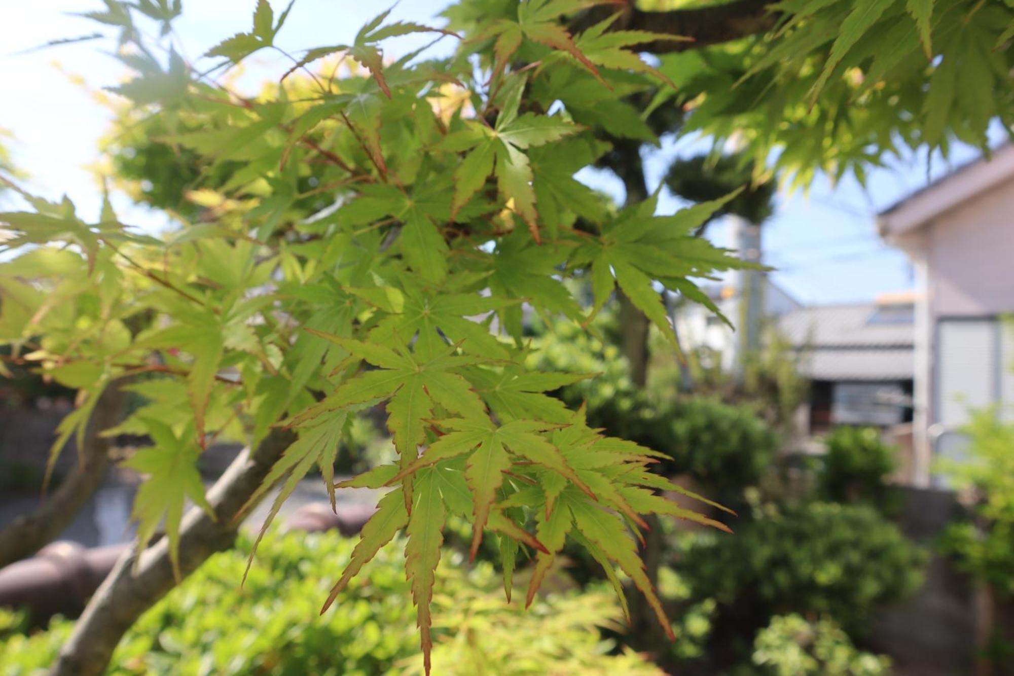立花荘 Vila Matsuyama  Exterior foto