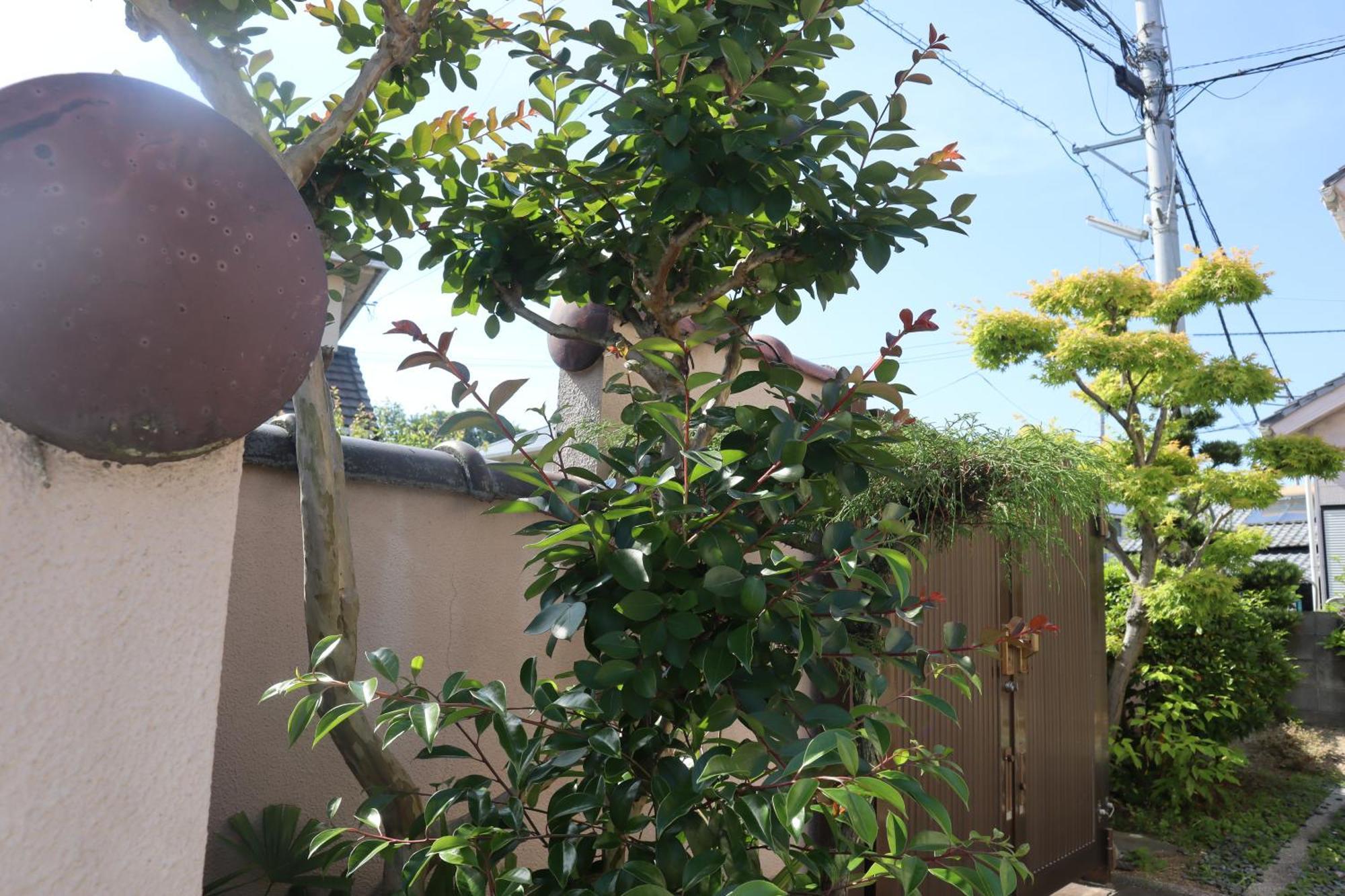立花荘 Vila Matsuyama  Exterior foto
