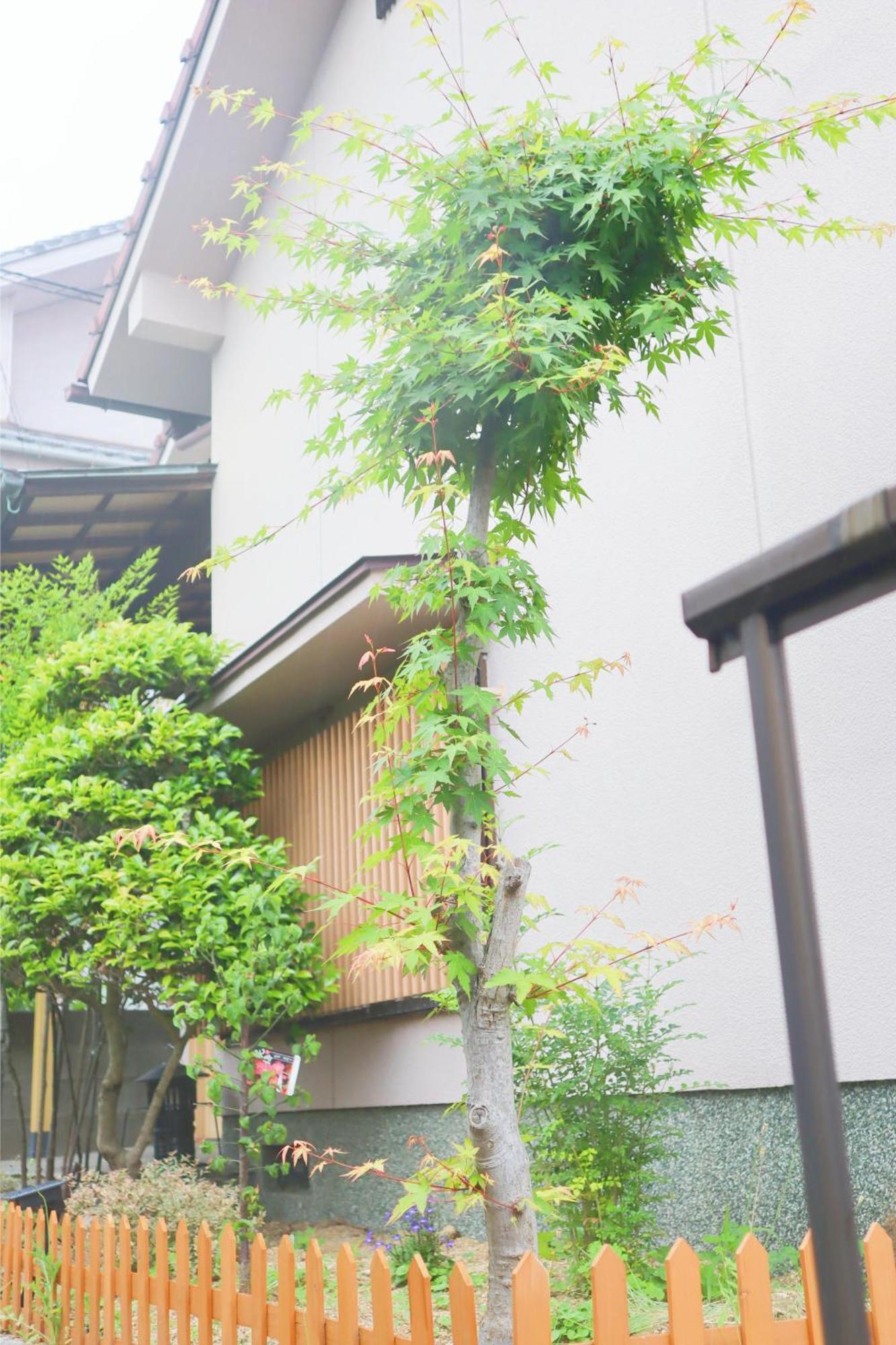 立花荘 Vila Matsuyama  Exterior foto